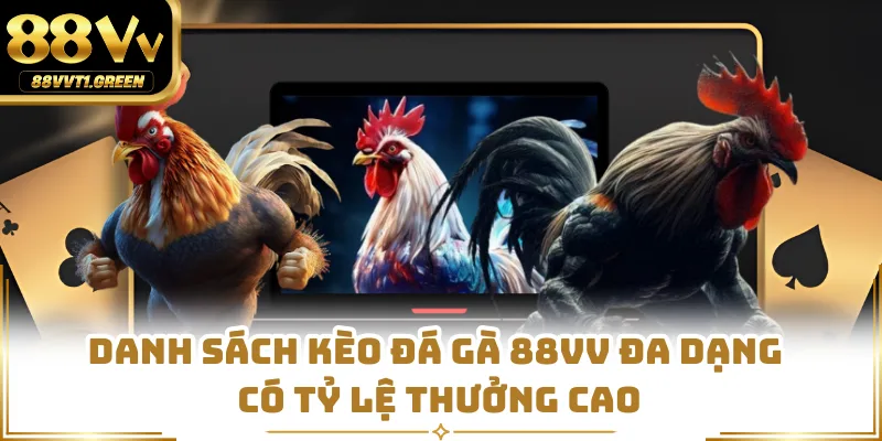 Danh sách kèo đá gà 88VV đa dạng có tỷ lệ thưởng cao